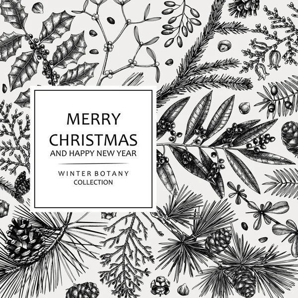 Merry Christmas Card Square Frame Evergreen Plants Conifers Nuts Drawing — 스톡 벡터