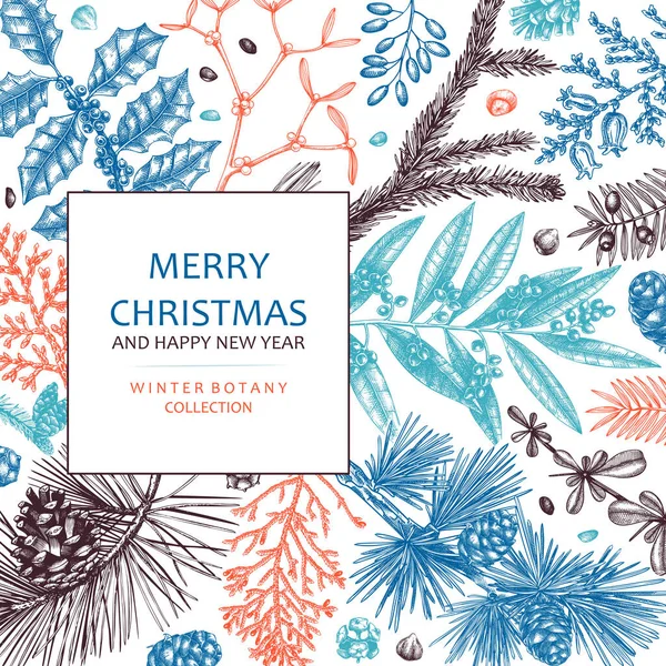 Merry Christmas Card Color Vector Frame Evergreen Plants Conifers Nuts — Image vectorielle