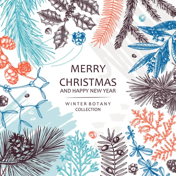 Merry Christmas Card Collage Style Banner Evergreen Plants Conifers Nuts — Image vectorielle