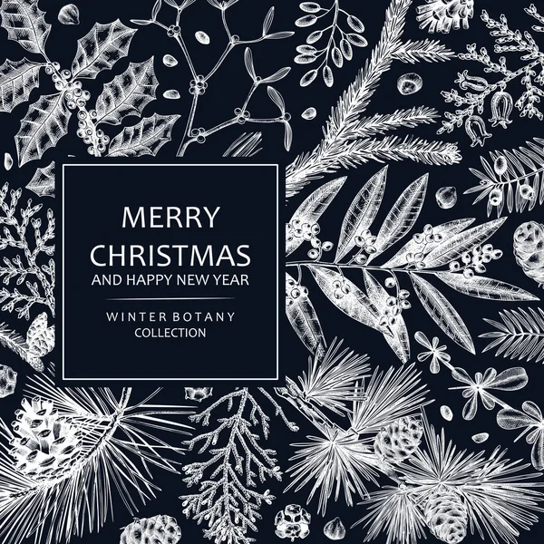 Merry Christmas Card Chalkboard Evergreen Plants Conifers Nuts Drawing Winter — ストックベクタ