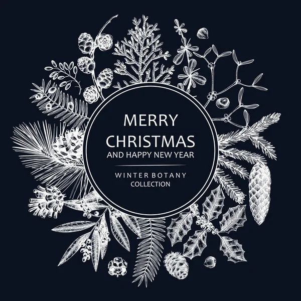 Merry Christmas Card Chalkboard Evergreen Plants Conifers Nuts Drawing Winter — 스톡 벡터