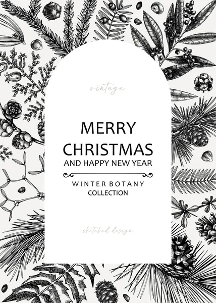 Merry Christmas Card Square Frame Evergreen Plants Conifers Nuts Drawing — стоковый вектор