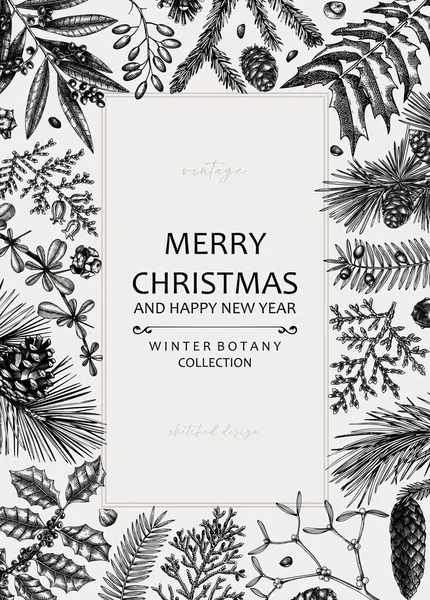 Merry Christmas Card Square Frame Evergreen Plants Conifers Nuts Drawing — стоковый вектор