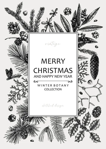 Merry Christmas Card Square Frame Evergreen Plants Conifers Nuts Drawing — Image vectorielle