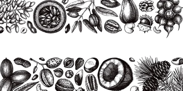 ヴィンテージスタイルのベクトルナッツバナー ビンテージナッツの境界線スケッチ 貝殻の手描きで健康的な食品の背景 パッケージデザインのための現実的な植物イラスト — ストックベクタ
