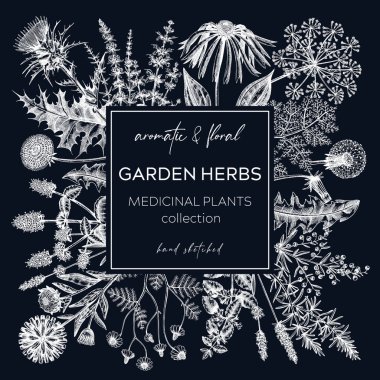 Tahtada eski bir çelenk var. Aromatik bitkiler taslak şeklinde dizayn edilir. Bitkisel çay malzemeleri. Kozmetik, parfüm ve bitkisel ilaçlar için el yapımı şifalı bitkiler. Çiçek kartı.  