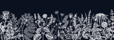 Tahtada otlar ve çayırlar var. Aromatik bitkiler için klasik pankart. Şifalı bitki taslakları. Kozmetik, parfüm, bitki çayı ve bitkisel ilaçlar için botanik tasarımı. Çiçek arkaplanı