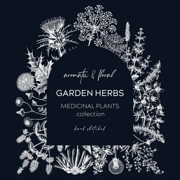 Couronne Fines Herbes Vintage Sur Tableau Conception Plantes Aromatiques Dans — Image vectorielle