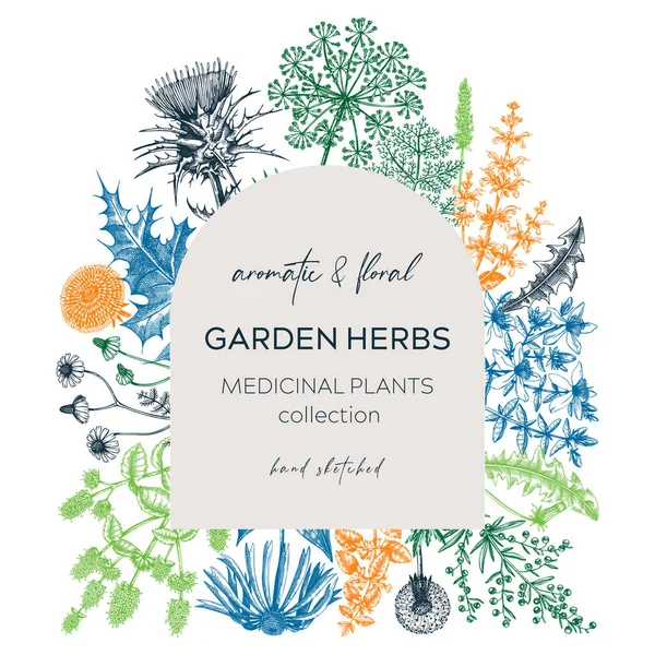 Carte Aux Herbes Vintage Invitation Plantes Aromatiques Design Botanique Ingrédients — Image vectorielle