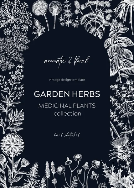 Diseño Tarjetas Hierbas Vintage Pizarra Plantas Aromáticas Marco Ingredientes Hierbas — Vector de stock