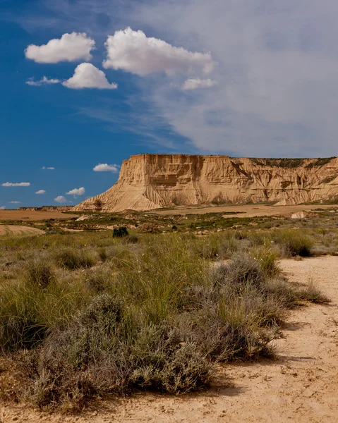 Paisagem do deserto — Fotografia de Stock