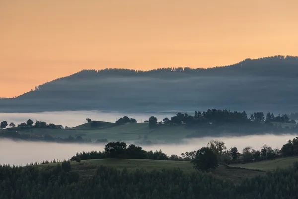 霧の山の風景 ストック画像