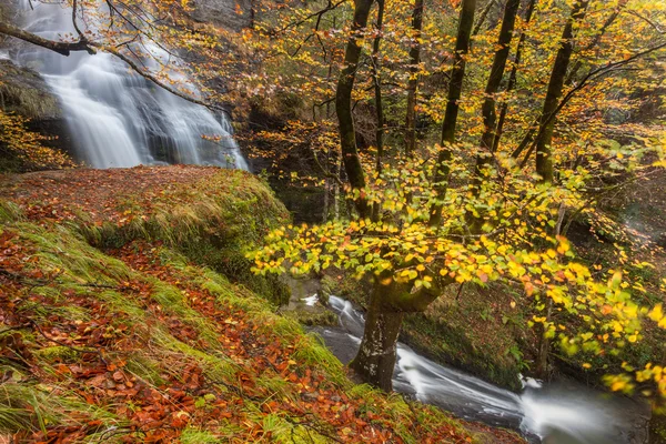 Uguna waterfall — Stock Photo, Image