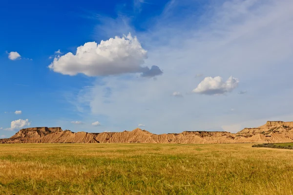 Paesaggio desertico Immagine Stock