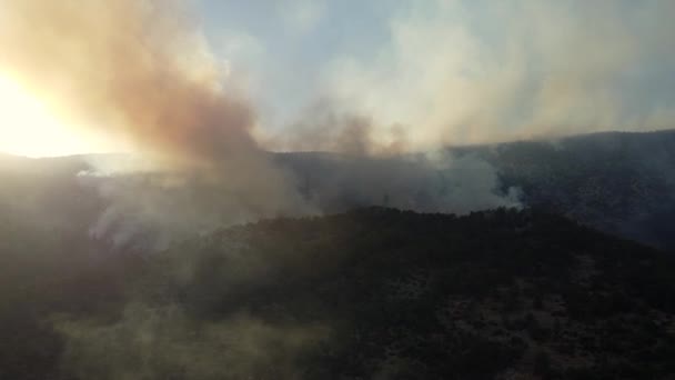 Fumaça de um incêndio florestal — Vídeo de Stock