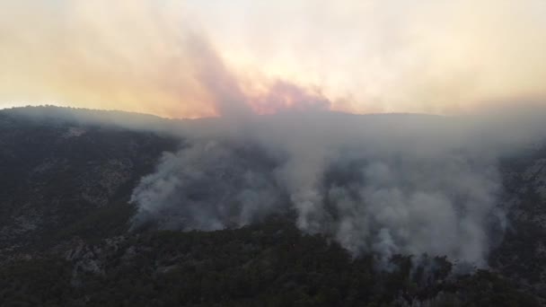 Veduta aerea degli incendi boschivi — Video Stock