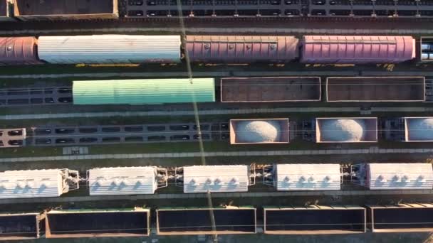 Wagony towarowe na bocznicy kolejowej — Wideo stockowe