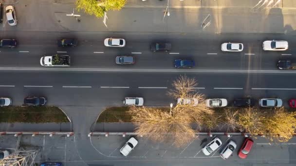 Cars drive on street — Stock videók