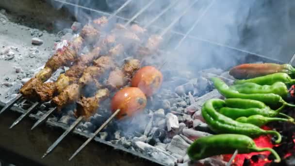 Close Kebabs Skewers Vegetables Grilling Brazier Turkish Traditional Kebabs Grill — Wideo stockowe
