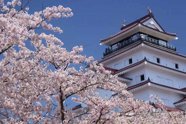 会津若松城と桜の花 — ストック写真