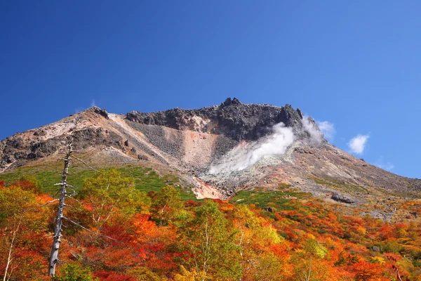 Folhas de outono montanha — Fotografia de Stock