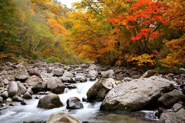 谷の秋の色 — ストック写真