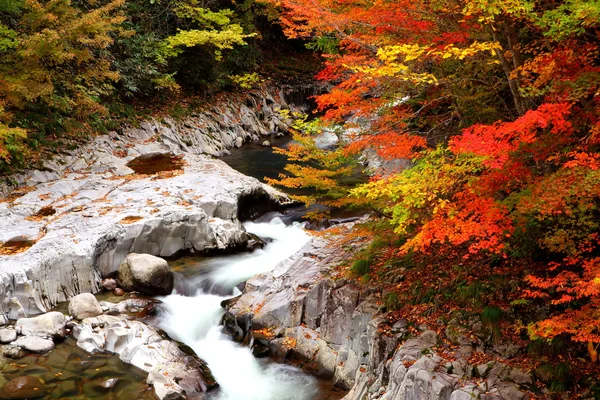 Χρώματα του φθινοπώρου στην κοιλάδα — Φωτογραφία Αρχείου