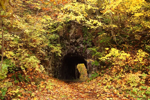 Tunnel with autum leaves — Stock Photo, Image