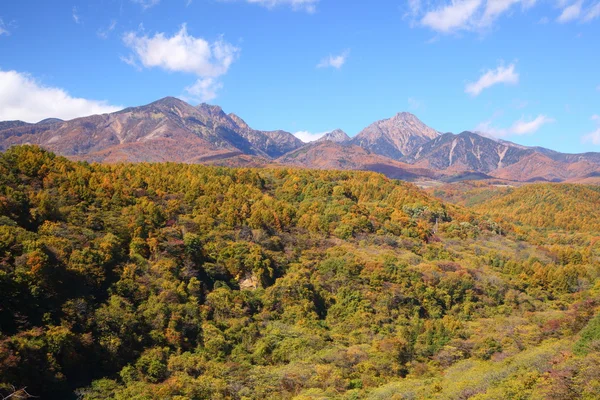 Mt. Yatsugatake en automne — Photo