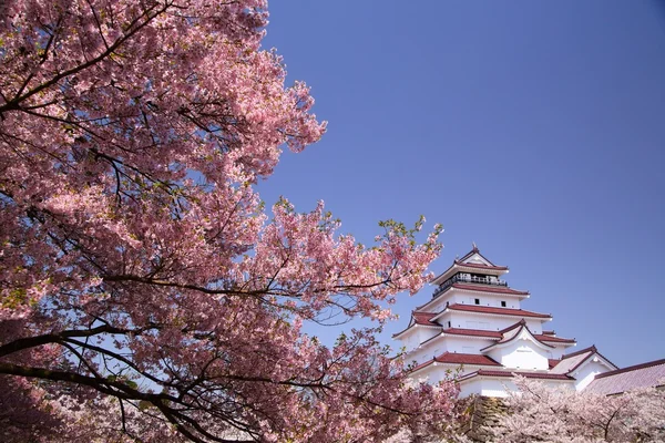 Castillo de Aizuwakamatsu y flor de cerezo — Foto de Stock