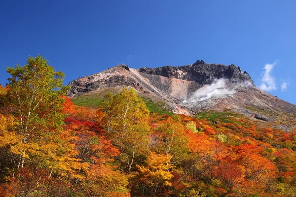 Feuilles d'automne montagne — Photo