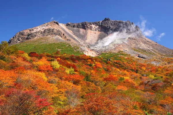Feuilles d'automne montagne — Photo