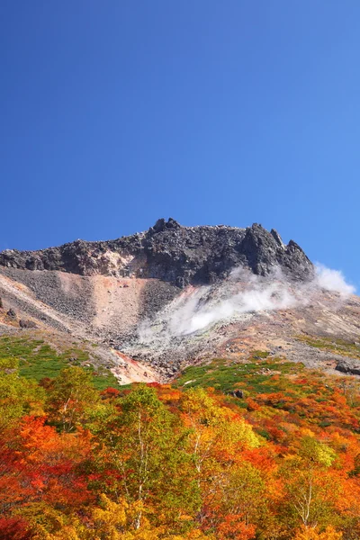 Berg Herfstbladeren — Stockfoto