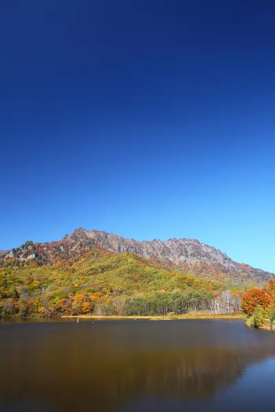 Montagna e stagno in autunno — Foto Stock