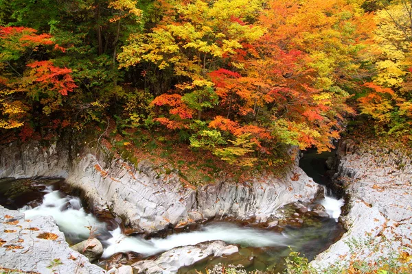 Осінні кольори долини — стокове фото