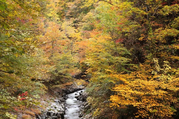 Podzimní barvy údolí — Stock fotografie