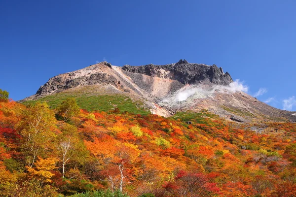 Mountain autumn leaves — Stock Photo, Image