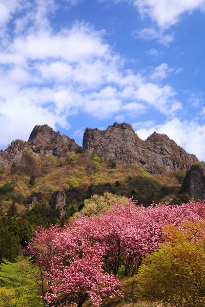 Mt. myougi in het voorjaar van — Stockfoto