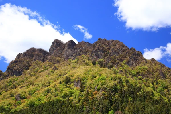 Montanha com verde fresco — Fotografia de Stock