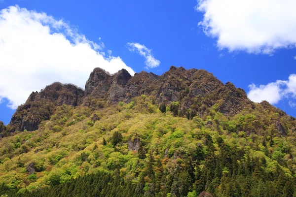 Montaña con verde fresco — Foto de Stock