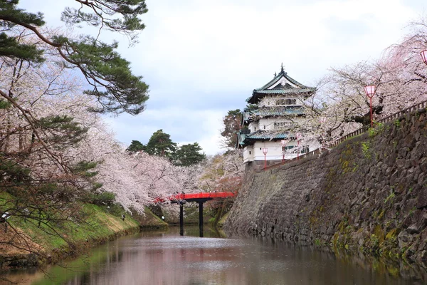 Castelo de Hirosaki e flores de cereja — Fotografia de Stock