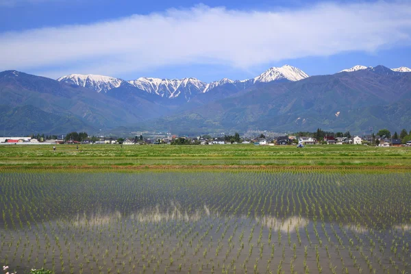 日本阿尔卑斯山和稻田 — 图库照片