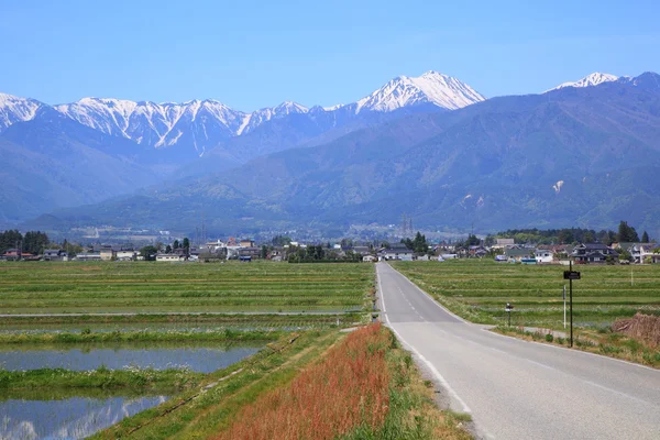 Route droite vers la montagne — Photo