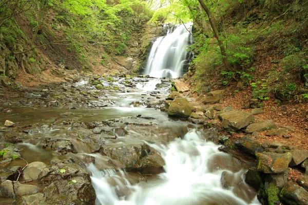 Waterfall of fresh green — Stock Photo, Image
