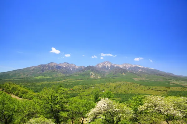 Taze yeşil dağ — Stok fotoğraf