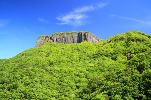 Crag mountain with fresh verdure — Stock Photo, Image