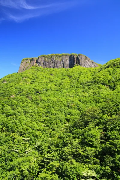 Crag berg met verse verdure — Stockfoto