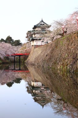 Hirosaki Kalesi ve kiraz çiçekleri
