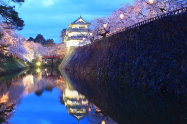 Hirosaki Kalesi ve kiraz çiçekleri yanar