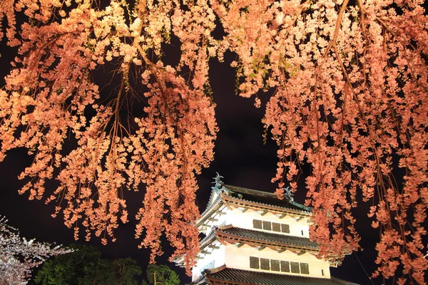 Lyser upp över hirosaki slottet och körsbär blommar — Stockfoto